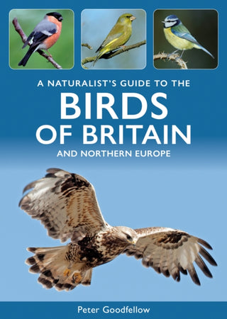 Cover image for 9781913679903 - A Naturalist's Guide to the Birds of Britain and Northern Europe