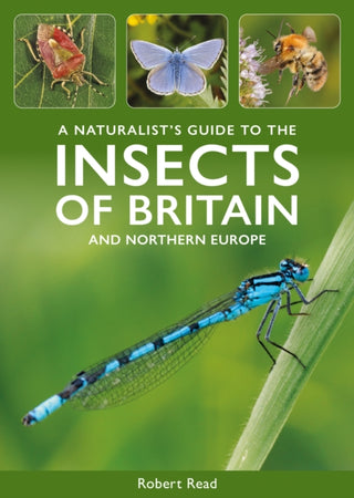 Cover image for 9781913679910 - A Naturalist's Guide to the Insects of Britain and Northern Europe