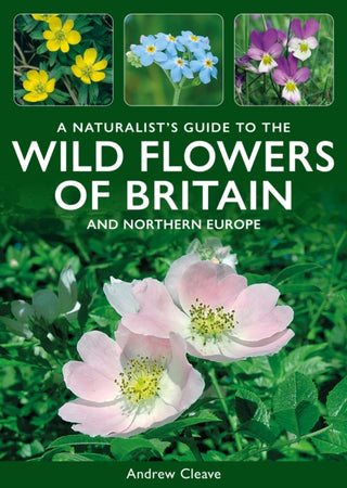 Cover image for 9781913679934 - A Naturalist's Guide to the Wild Flowers of Britain and Northern Europe