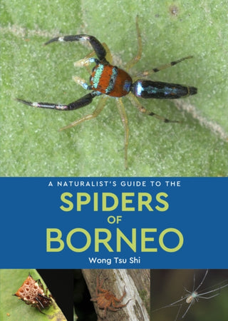 Supplemental image for 9781913679958 - A Naturalist's Guide to the Spiders of Borneo
