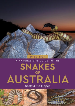 Cover image for 9781913679972 - A Naturalist’s Guide to the Snakes of Australia