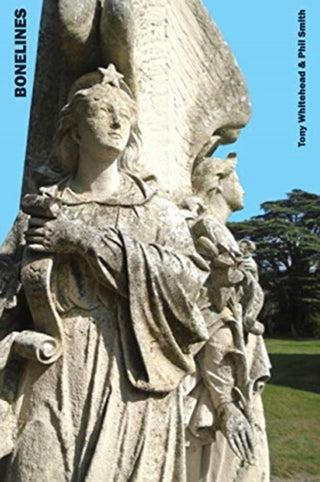 Cover image for 9781913743062 - Bonelines