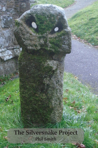 Cover image for 9781913743833 - The Silversnake Project