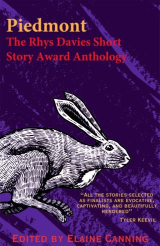 Cover image for 9781913830854 - The Rhys Davies Short Story Competition Anthology