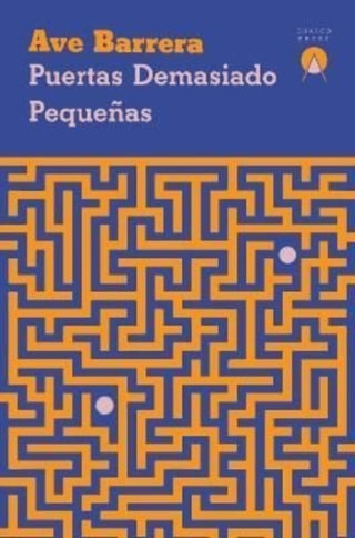 Cover image for 9781913867171 - Puertas demasiado pequenas