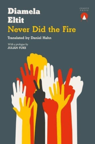 Cover image for 9781913867218 - Never Did the Fire