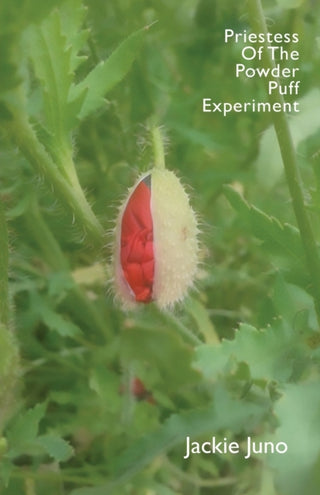 Cover image for 9781913958282 - Priestess of the Powder Puff Experiment