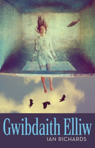 Cover image for 9781913996727 - Gwibdaith Elliw