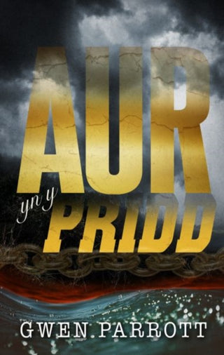 Cover image for 9781913996765 - Aur yn y Pridd