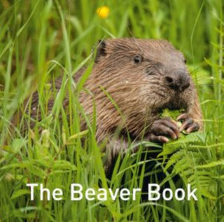 Cover image for 9781914079214 - Nature Book Series: The Beaver Book