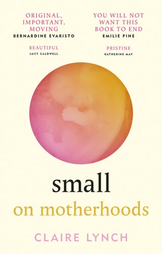 Cover image for 9781914240058 - Small: On Motherhoods