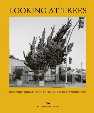 Cover image for 9781914314407 - Looking At Trees