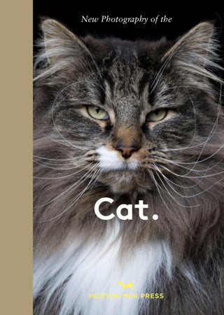 Cover image for 9781914314940 - New Photography of the Cat.