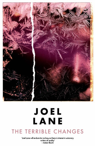 Cover image for 9781914391118 - The Terrible Changes