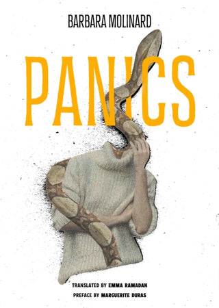 Cover image for 9781914391408 - Panics
