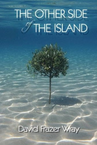 Cover image for 9781914399657 - The Other Side Of The Island