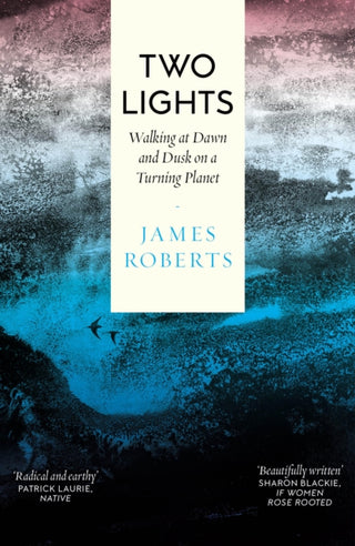 Cover image for 9781914613739 - Two Lights