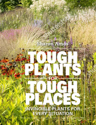 Cover image for 9781914902017 - Tough Plants for Tough Places