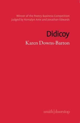 Cover image for 9781914914379 - Didicoy