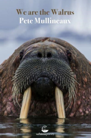 Cover image for 9781915022233 - We Are The Walrus