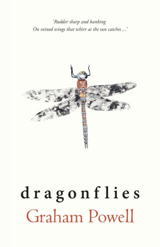 Cover image for 9781915067531 - Dragonflies