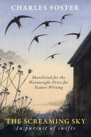 Cover image for 9781915068002 - The Screaming Sky