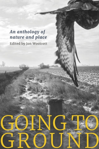 Cover image for 9781915068347 - Going to Ground