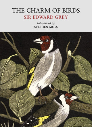 Cover image for 9781915068545 - The Charm of Birds