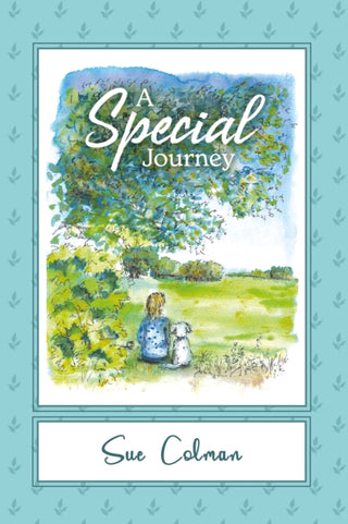 Cover image for 9781915200716 - A SPECIAL JOURNEY