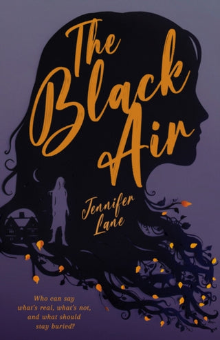 Cover image for 9781915235312 - The Black Air