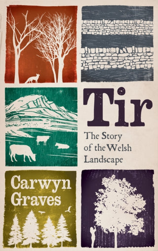 Cover image for 9781915279675 - Tir