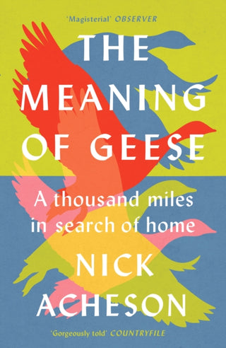 Cover image for 9781915294258 - The Meaning of Geese