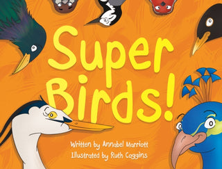 Cover image for 9781915352590 - Super Birds!