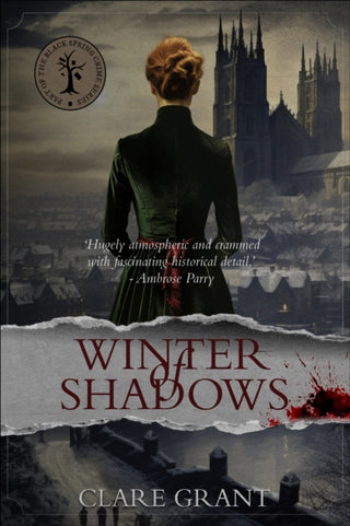 Supplemental image for 9781915406361 - Winter of Shadows
