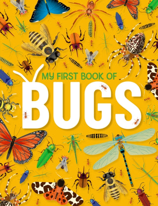 Cover image for 9781915461162 - My First Book of Bugs