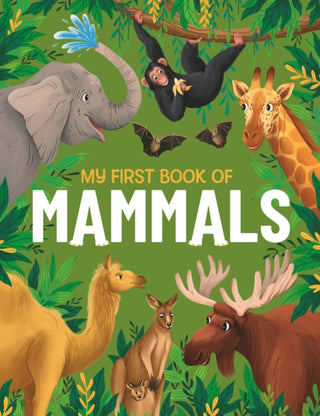 Cover image for 9781915461940 - My First Book of Mammals
