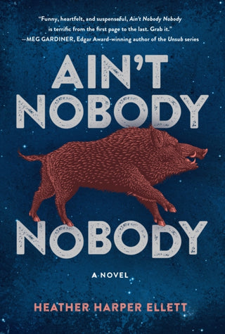 Cover image for 9781915523983 - Ain't Nobody Nobody