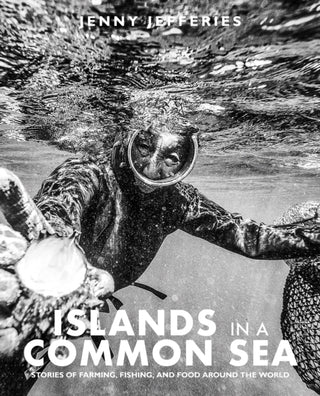 Cover image for 9781915538208 - Islands In A Common Sea