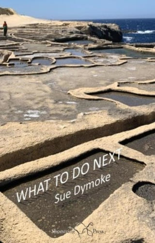 Cover image for 9781915553416 - What To Do Next