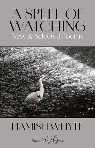 Cover image for 9781915553539 - A Spell of Watching
