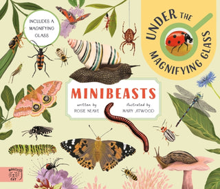 Cover image for 9781915569530 - Minibeasts