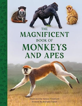 Cover image for 9781915588302 - The Magnificent Book of Monkeys and Apes