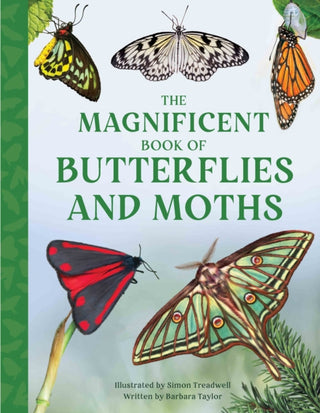 Cover image for 9781915588425 - The Magnificent Book of Butterflies and Moths