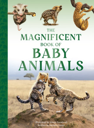 Cover image for 9781915588470 - The Magnificent Book of Baby Animals