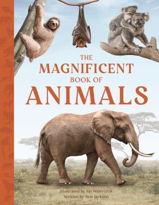 Cover image for 9781915588623 - The Magnificent Book of Animals
