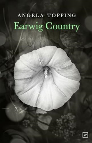 Cover image for 9781915606228 - Earwig Country