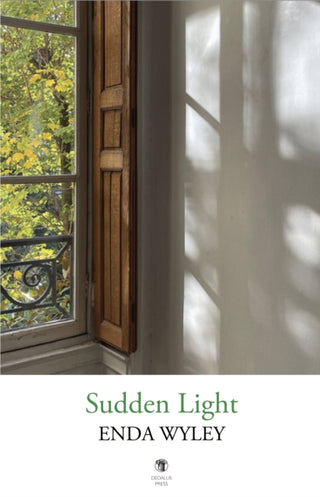 Cover image for 9781915629456 - Sudden Light