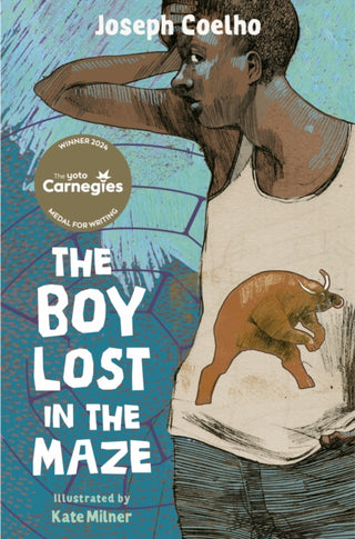 Cover image for 9781915659750 - The Boy Lost in the Maze
