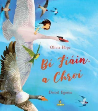 Cover image for 9781915684103 - Bi Fiain, a chroi
