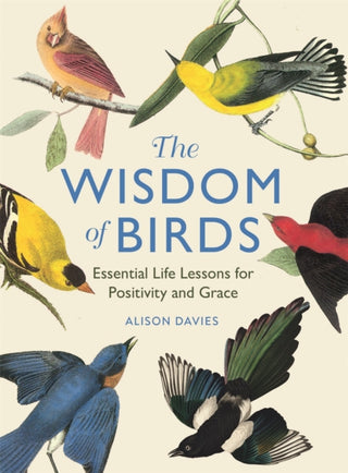 Cover image for 9781915751140 - The Wisdom of Birds